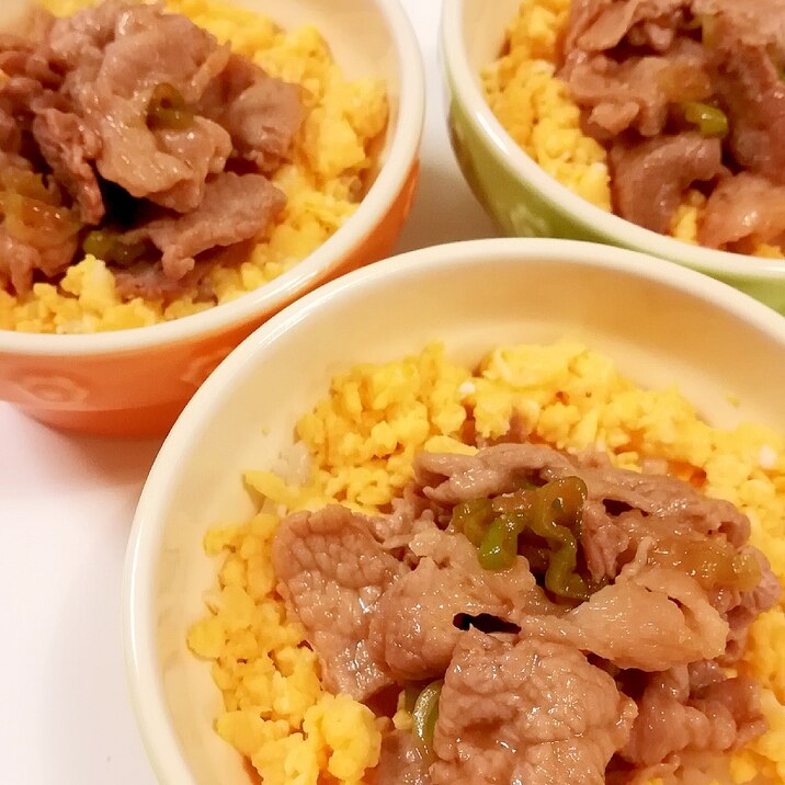 冷めても美味しい☆豚丼☆